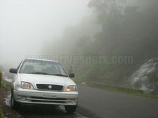 எந்த கலரில் கார் வாங்குவது சிறந்தது?