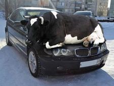 ரூ.3 கோடிக்கு ஏலம் போன கார் நிறுத்தும் இடம்