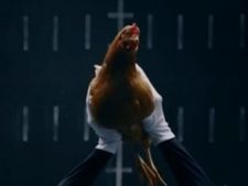 புதிய பென்ஸ் எஸ் கிளாஸ் காரின் சஸ்பென்ஷனுக்கு கோழிகளை வைத்து விளம்பரம்!!