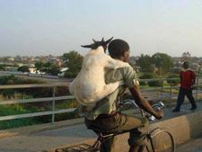 சுவாரஸ்யமான ஆட்டோமொபைல் படங்களின் சிறப்பு தொகுப்பு