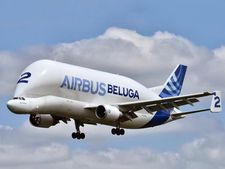 உலகின் விசித்திரமாக வடிவமைக்கப்பட்ட விமானங்கள் - சுவாரஸ்யத் தொகுப்பு