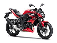 கவாஸாகி இசட்250 எஸ்எல் பைக்... விரைவில் விற்பனைக்கு வருகிறது!