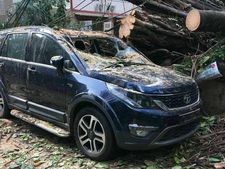 பலே, பலே... ராட்சத மரம் விழுந்தும் அசங்காத டாடா ஹெக்ஸா கார்!!
