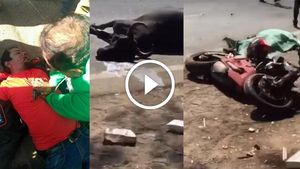 150 கிமீ வேகத்தில் எருமை மாட்டின் மீது மோதிய டுகாட்டி பைக்... குஜராத்தில் கோரம்!