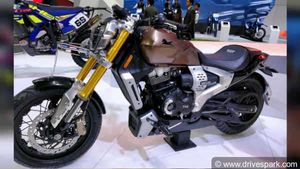 டிவிஎஸ் ஸெப்லின் க்ரூஸர் மோட்டார்சைக்கிள் கான்செப்ட் அறிமுகம்: படங்களுடன் தகவல்கள்!