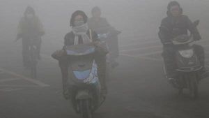 டெல்லி வாகன மாசுபாடு: உச்சநீதிமன்றம் அதிரடி முடிவு...!!