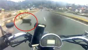 பைக்கில் 150 கிமீ வேகம்... நூலிழையில் உயிர் தப்பிய வாலிபர்... நெஞ்சை உறைய வைக்கும் வீடியோ...