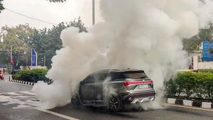 நடு ரோட்டில் தீ பிடித்த புத்தம் புதிய ஹெக்டர் ... வதந்திக்கு முற்று புள்ளி வைத்த எம்ஜி...