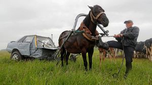 விலையுயர்ந்த ஆடி காரை குதிரை சாரட்டாக மாற்றிய இளைஞர்... காரணத்தைக் கேட்டு நொந்துபோன வாகன பிரியர்கள்!