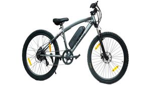 இயற்கைக்கு மட்டுமில்ல நம்ம பாக்கெட்டுக்கும் நண்பன்தான்! லைசென்ஸ், ஆர்சி தேவையில்ல... விலையும் கம்மி!