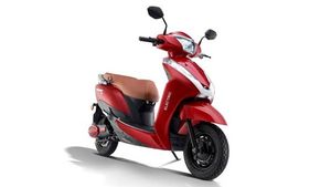 நீண்ட தூரம் பயணிக்கும் Ampere Magnus EX இ-ஸ்கூட்டர் அறிமுகம்... Ola மின்சார ஸ்கூட்டரை விட குறைவான விலையில்!