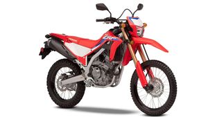 செம்ம கெத்தாக இந்திய ஷோரூமில் காட்சி தந்த ஹோண்டா சிஆர்எஃப் 300எல் பைக்... முரட்டு காளையை போல் காட்சியளிக்குது!