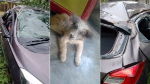 உங்க காரால இந்தளவுக்கு பாதுகாப்பு தரமுடியுமா? லாரி ரூபத்தில் வந்த எமனுக்கு தன்னுடைய ஸ்டைலில் டாடா காட்டிய கார்