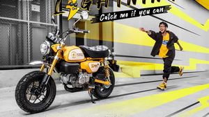 ஹோண்டா மங்கி இந்தியா வர போகுதா! மைலேஜ் 70கிமீ மேல தருதா! இதுக்கு மேல வேற என்ன வேணும்!