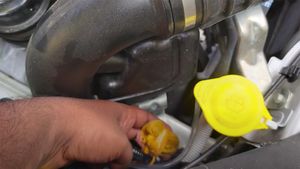 எலி தொல்லைக்கு நிரந்தர தீர்வு காண பத்து ரூபா போதுமா! இத்தன நாளா இந்த எலி விரட்டி பற்றி தெரியாம போச்சே!