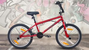 டாடாவின் கண்காணிப்பில் உருவாக்கப்படும் புது சைக்கிள் இதுதான்!! விலை எவ்வளவுனு தெரிஞ்சா உடனே புக் பண்ணிடுவீங்க!