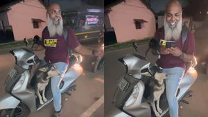 கோவாவை சுத்தி பாக்கணும்! ஒவ்வொரு வண்டியா லிஃப்ட் கேட்டு போகும் அதிசய நாய்! எல்லார் கூடயும் பாசமா ஒட்டிக்குது!