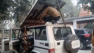 புஷ்பா படத்தை விஞ்சிய கடத்தல்! மேற்கூரைல இருந்ததை பாத்ததும் ஷாக்! கண்டேபிடிக்க முடியாத அளவு யோசிச்சிருக்காங்க!