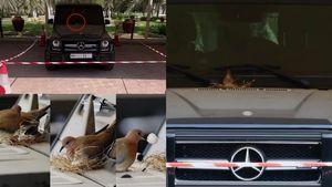 புறாவுக்காக தேர் கொடுத்த பாரி வள்ளல் எல்லாம் பழைசு, இனி இதுதான் புதுசு! இளவரசராக மனசுல நிறைஞ்சிட்டாரு