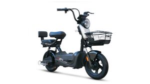 வெறும் ரூ29,999 எலெக்ட்ரிக் வண்டியா? கிராமத்துல வீட்டுக்கு வீடு இதை வாங்க போறாங்க!