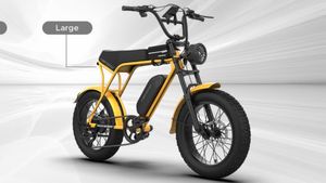 கால் எட்டலனு இனி யாரும் சொல்ல முடியாது! பெட்ரோல் போட்டுனு கஷ்டப்படுவதை விட இது பெஸ்ட்!