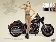 హ్యార్లీ డేవిడ్‌సన్ నుంచి చవక బైక్‌లు వస్తున్నాయోచ్...!