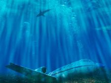 నౌకల్ని మింగుతున్న బెర్ముడా ట్రయాగింల్ మిస్టరీలో కొత్త ట్విస్ట్