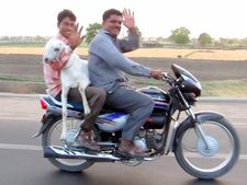 ఆ ఊర్లో బైకు కొంటే మేక ఉచితం