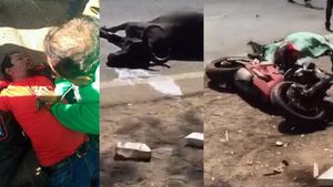 రిపబ్లిక్ డే రైడ్‌లో అపశ్రుతి: రెండు నిండు ప్రాణాలు బలి