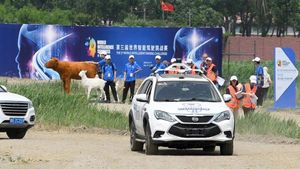 డ్రైవ్లరు లేకుండా కార్ రేసింగ్.. మరి నడిపింది ఎవరో తెలుసా?