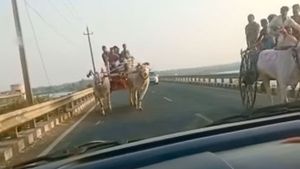 హైవే మీద కారుని డీ కొన్న ఎద్దుల బండి [వీడియో]