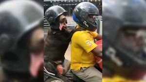 హెల్మెట్ ధరించి బైక్ పై వెళ్లిన కుక్కను ఎప్పుడైనా చూసారా.....అయితే ఇప్పుడే చూడండి!