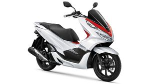 మ్యాక్సీ స్కూటర్‌ను ఆవిష్కరించిన హోండా