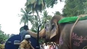 బాగా దాహంగా ఉన్న ఏనుగు రోడ్డుపై ఏం చేసిందో తెలుసా.. అయితే వీడియో చూడండి