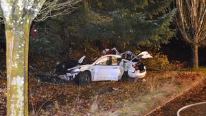 చెట్టుని డీ కొన్న ఖరీదైన టెస్లా కార్.. ఈ ప్రమాదం ఎలా జరిగిందో తెలుసా ?