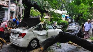 వాహనంపై చెట్టు విరిగిపడినా, వరదలో కొట్టుకుపోయినా వెహికల్ ఇన్సూరెన్స్ వర్తిస్తుందా?