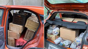 సేఫ్టీలో మంచిగా ఉందని ఇలా చేయొచ్చా: టాటా పంచ్‌లో 700 కేజీల లోడ్.. అలాగే 125 కిమీ ప్రయాణం