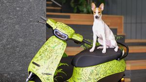 కుక్కకు ఉద్యోగం ఇచ్చిన ఓలా.. తొలిరోజు సంతకం చేయకుండా స్కూటర్ సీటు ఎక్కి హల్‌చల్‌