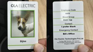 అదృష్టమంటే ఈ కుక్కదే.. ఓలాలో ఉద్యోగంతో పాటు సకల సదుపాయాలు..