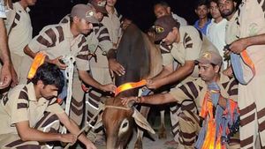 యాక్సిడెంట్స్‌ నుంచి ఆవులను కాపాడేందుకు కొమ్ములకు రిఫ్లెక్టివ్‌ స్టిక్కర్లు.. ఆ రాష్ట్రంలో తొలి ప్రయోగం!!