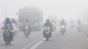 Dense Fog: భయంకరంగా కమ్ముకొస్తున్న ‘పొగమంచు'.. ‘డ్రైవింగ్‌'లో ఈ జాగ్రత్తలు తప్పనిసరి అంటున్న పోలీసులు