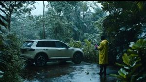 ఇవి కచ్చితంగా పాటిస్తే.. వర్షాకాలంలో కారులో ఎలాంటి చీడపురుగులైన బయటకే..