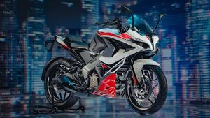 Auto Expo 2025 - Bajaj  : ఆటో ఎక్స్‌పోలో ప్రత్యేక ఆకర్షణగా బజాజ్.. ఇథనాల్, ఎలక్ట్రిక్ బైకులు.. తగ్గేదేలే! 