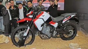 రాయల్ ఎన్‌ఫీల్డ్ హిమాలయన్ 450కి సవాల్ విసరడానికి వస్తోంది ఈ కొత్త బైక్.. అడ్వెంచర్ ప్రియులకు పండుగే! 