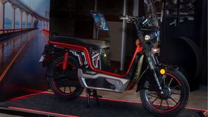 ఈ బండితో రూ.60 వేలు ఆదా.. 1 కి.మీకు 10 పైసలు మాత్రమే.. పేద-మిడిల్ క్లాస్‌కు బెస్ట్ 