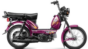 పల్లెటూరి పులి..బరువులు మోయడంలో మొనగాడు..కానీ అమ్మకాల వేటలో ఎందుకో వెనుకబడ్డాడు 