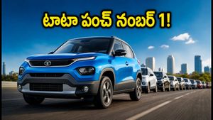 ఆగస్టు కార్ల సేల్స్ రిపోర్ట్: టాటా పంచ్ టాప్.. పెట్రోల్ కార్ల కంటే ఈవీ, సీఎన్జీలకే క్రేజ్!