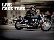 छोटें शहरों में फर्राटा भरने को बेकरार हार्ले डेविडसन