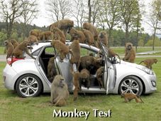 बंदरों ने किया ह्युंडई आई30 का परीक्षण