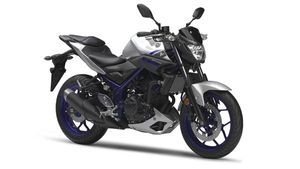 ​आॅटो एक्सपो 2016 : यामाहा भारत को दे सकती है अपनी इस बाइक की सौगात